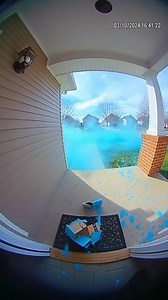 He Tried to Steal My Package… Time to Reflect 😳🔵 | Porch Social Lab