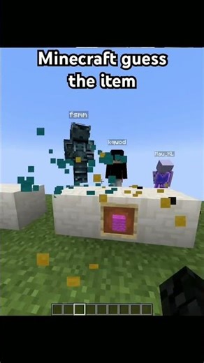 Minecraft guess the item. #viralshorts #minecraft