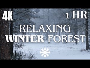 Relaxing Winter Forest - 1H Snowy Forest Ambience 4K - Relaxing Nature Sounds for Sleep (No Music)