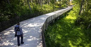 What to know about the $1.4B parks tax levy before King County voters