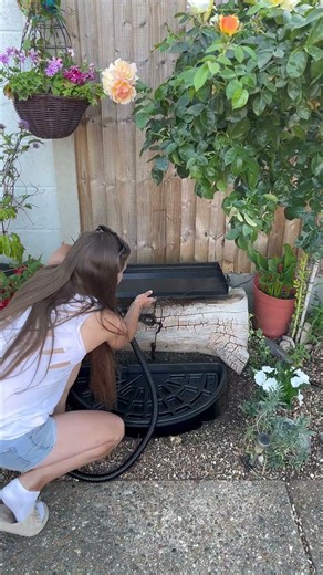 Building My Own Backyard Paradise