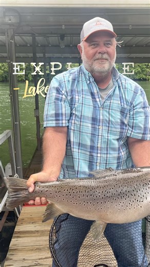 772 reactions · 69 shares | Join us on Lake Taneycomo this summer! We have pontoons, bass boats, and jon boats available to rent. See photos and prices, and reserve online at your convenience! #lilleyslanding #taneycomo #troutfishing #branson #bransonmo | Lilleys' Landing Resort & Marina | Facebook