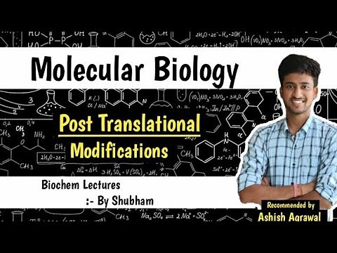 Post Translational Modifications || Molecular Biology || Biochemistry Lectures