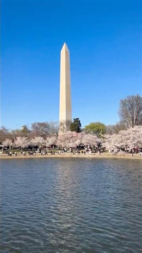 Cherry Blossoms, Kites & the Washington Monument 🌸 | Springtime in Washington DC - Tidal Basin