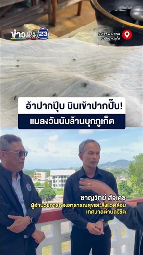 อ้าปากปุ๊บ บินเข้าปากปั๊บ! แมลงวันนับล้านบุกภูเก็ต