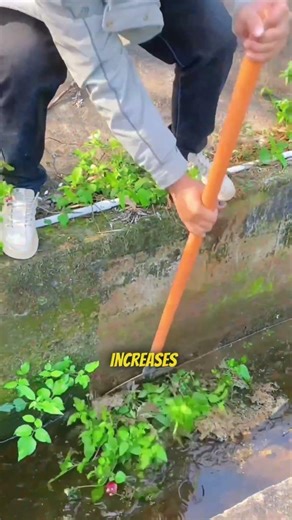 Why Cleaning Irrigation Canals Is So Important 💧🌾