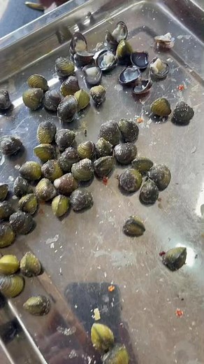 How to Properly Prepare Fresh Mussels