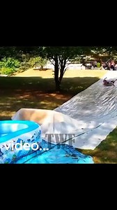 8.8K views · 92 reactions | Stupidity at work  | Fight compilation | Facebook