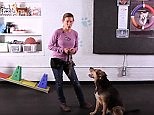 Learn the best dog training tricks from Howcast