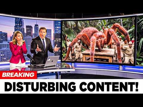 New DNA Tests On The Giant J'Ba Fofi Spider In Congo Reveal A Terrifying Genetic Anomaly