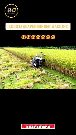 𝘽𝙡𝙪𝙚 𝘾𝙝𝙚𝙢𝙥 on Instagram: "reaper binder machine . . . . . . . . . . . . . . . . . #kubota #agriculture #farming #harvesting #khetibadi🌱🌾 #farmer #farmlife #kisan #kheti #tractor #tractors #viralreels #reels #yanmar #agricultura #harvester"
