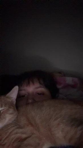 quizno (@quiznosubs)’s videos with NFL on FOX Theme Song - NFLonFOX