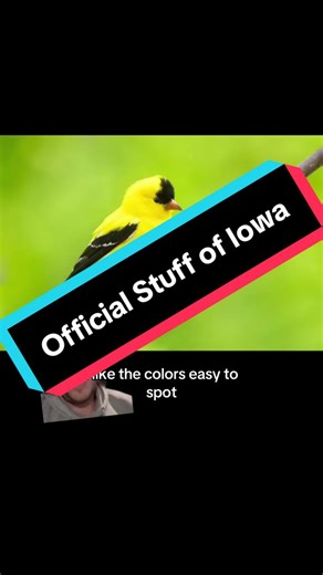 Official Things to Know About Iowa Culture
