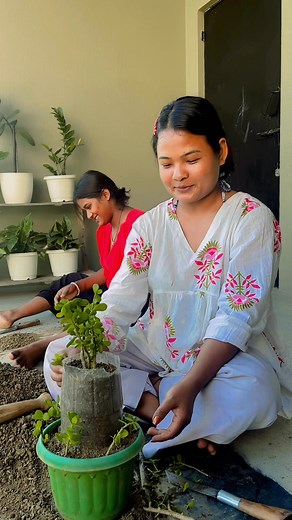 42K views · 1.1K reactions | Rai Nanu Rai Nanu on Reels | Facebook