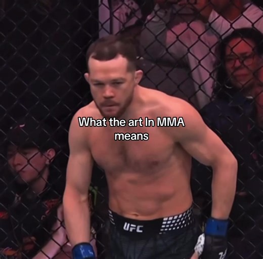 Understanding the Art of MMA: Techniques and Strategy