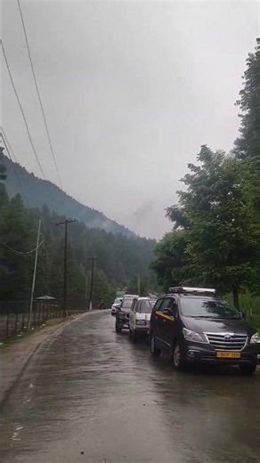 Echoes Of Kashmir 🌲🍁 || #shorts #trip #travel #jannatkashmir #viral