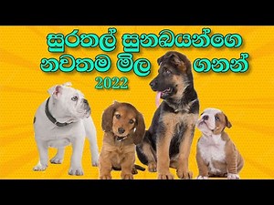 2022 වර්ෂයේ සුරතල් සුනඛයන්ගෙ නවතම මිල | Dog Price in sri lanka #dogprice