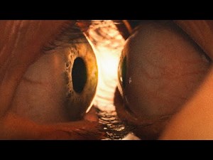 Together (2025) Official Trailer / Alison Brie & Dave Franco Star in Neon's Body Horror Nightmare