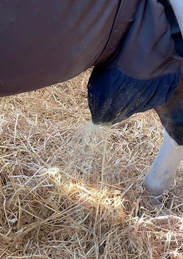 4.1K views · 8.1K reactions | *** Customer Review - Snuggy Hoods Ltd...