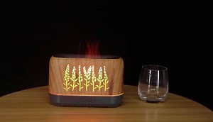 Watch small humidifier for desk on Amazon Live