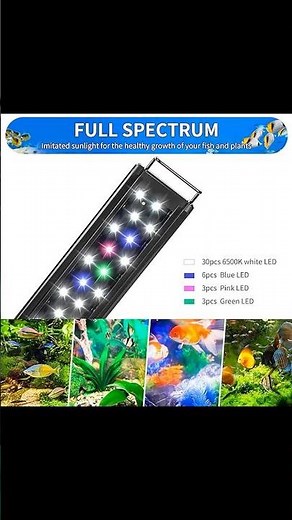 Illuminate Your Aquarium with AQUANEAT