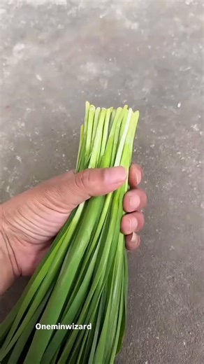 6 knots hacks every beginner needs to know #viral #hacks #dailyhacks #reels #fyp #viralvideo #fun #lifehacks | Insightpulse