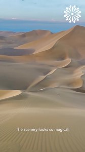 We're adding sandboarding in our to-try list ✅ | capture oiseaux | Facebook