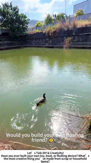 DIY Bionic Duck – Testing a Homemade Floating Friend! 🦆💧