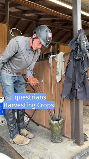 Harvesting Your Crops with Horses: Tips and Insights