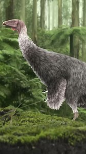 Is This A Theropod? A Sauropod? Or A Third Thing? | Eons • PBS