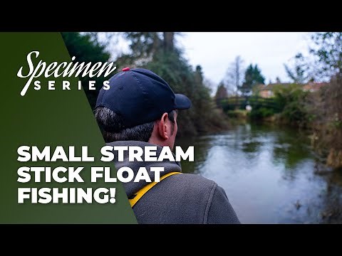 Small Stream Stick Float Fishing!