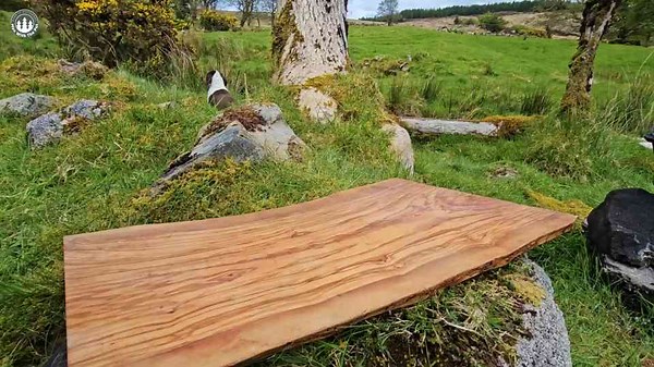 This burger should be ILLEGAL