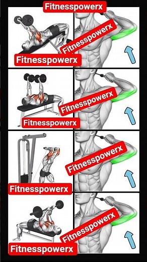 Killer Tricep Workout | Build Big & Defined Arms