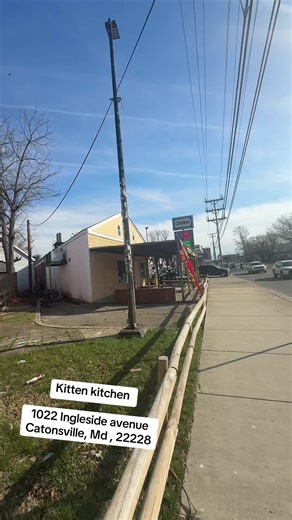 Delicious Delights at Kitten Kitchen in Catonsville