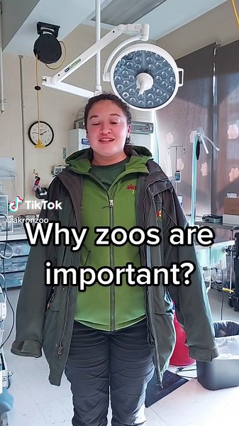 Importance of Accredited Zoos: Insights from Akron Zoo Staff
