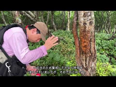 クマよけスプレーを日本一ヒグマがいる場所で実射してみた！