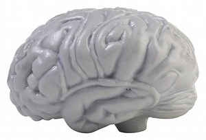 Facts About a Neurologist