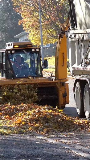 87K views · 462 reactions | ￼For Trackless, efficiency is key. That's why the Trackless Leaf Loader mulches and loads leaves simultaneously, turning a time-consuming task into a simple, one-step process! Check it out: https://bit.ly/3eSfAKI #TracklessVehicles #LeafLoader #LeafMulcher #LeafCleanup #LeafCollection | Trackless Vehicles | Facebook