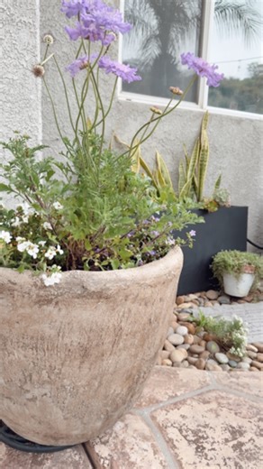 If you’ve ever wandered through garden centers or flipped through a Pottery Barn catalog and admired those gorgeous aged pots with real stone, you’ve probably also noticed the price tag. The good news is that you can recreate the same aged look at home! You can find the full tutorial on the blog #diy #garden | My Uncommon Slice of Suburbia