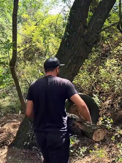 How to create a shelter from recycled materials and tree trunks#outdoors #camping #travel #survival #camping24hs | Camping2day