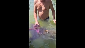 Steve Gammon with one of his Siamese Carp which he landed from Sala 6, during a great session, earlier this week...🎣 https://www.gillhamsfishingresorts.com/enquiries/ #gillhamsfishingresort #freespiritfishing #indamouth #fishing #carp #thailand #nature #carpfishing #holiday #karpfenangeln #celebration #korda #omc #onemorecast #outdooradventures #catchandrelease #outdoors #travel #vacation #adventure #wildlife #fishingtrip #gonefishing #fishinglife #freshwaterfishing #ridgemonkey | Gillhams Fish