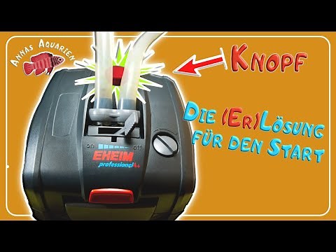 Wie man ohne Frust den Eheim professionel 4 + startet