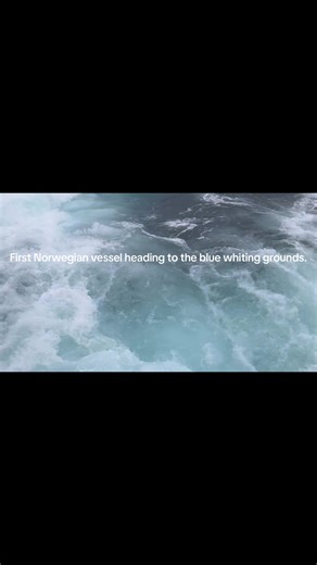 Malene S is heading to the blue whiting grounds as the first Norwegian vessel this season. Built for high-capacity pelagic fishing, with significant loading volume and efficient handling systems. Course set, crew ready. Let’s go fishing. #pelagic #Fish #Malene S