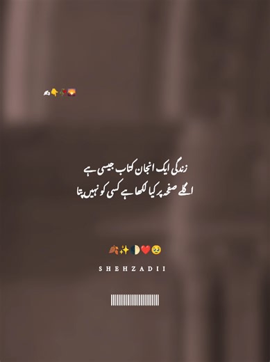Exploring the Deep Emotions in Urdu Poetry