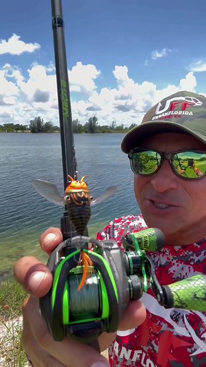 #cicada #fishing #bankfishing #southfloridafishing #fishtok #fishermenoftiktok #fypシ #foryou #mach2 #foryoupage #fishinglure #chasebaits
