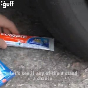 49K views · 18 reactions | Good luck, random objects! | Guff | Facebook