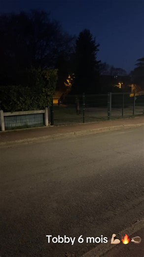 #chasse #herisson #pourtoii #braque #gitan