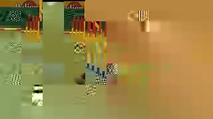 132K views · 832 reactions | Jack Agility... /\  #agility #jackagility #JackRussellTerrier #JRT #jrtinstagram #JackRussellMS #Dogs #DogsRacing #crazydog #bestdogever #JackRussellMS #JackRussellTerrier #JackRussell #Jack #JRT #jackrussellsofig #jackrussellterriers #jrts #jrtinstagram #Dogs #doglovers #campogrande #MS #Matogrossodosul #cgms #dogsms #caes #jackbull #jackjump #ataquedog #bomfimdesemana #gopro #patinsroller #jackpatinando #workingdog | Jack Russell MS | Facebook