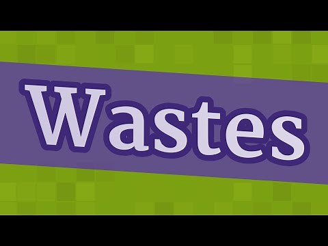 WASTES pronunciation • How to pronounce WASTES