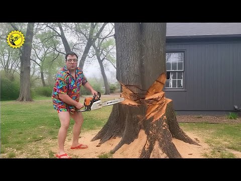 300 Fools With Chainsaws: Ladder Tree-Cutting Disasters & Roof-Smashing Chaos